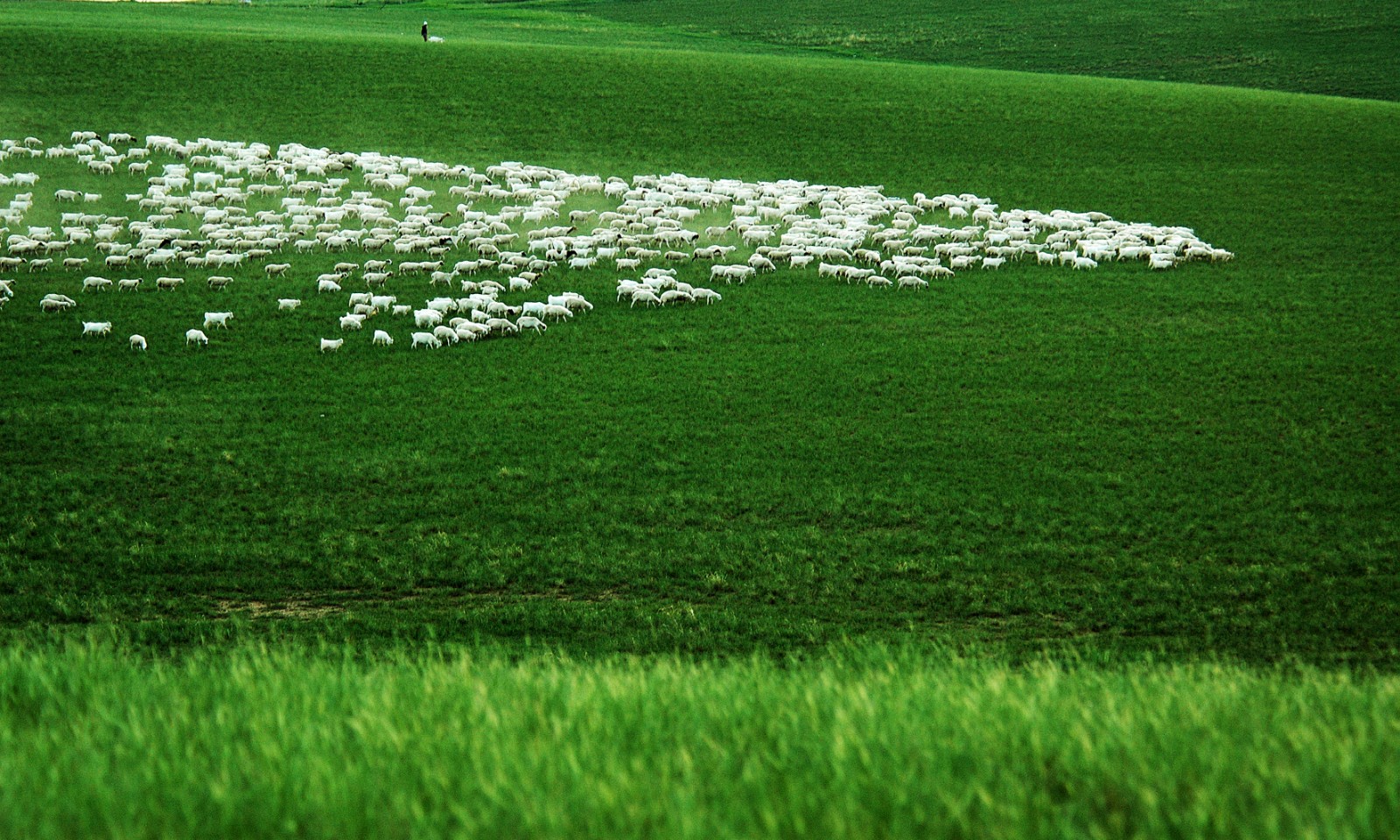 美轮美奂的锡林郭勒草原.