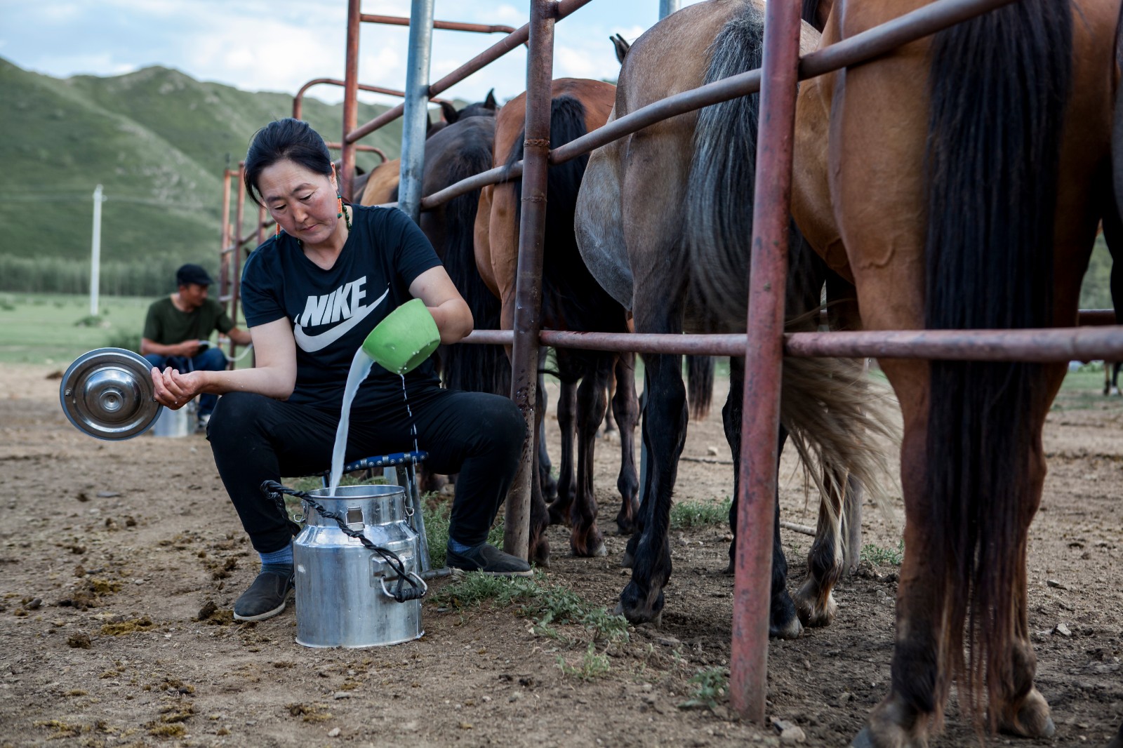 农行杯幸福故事牧民额日敦仓的酸马奶创业记