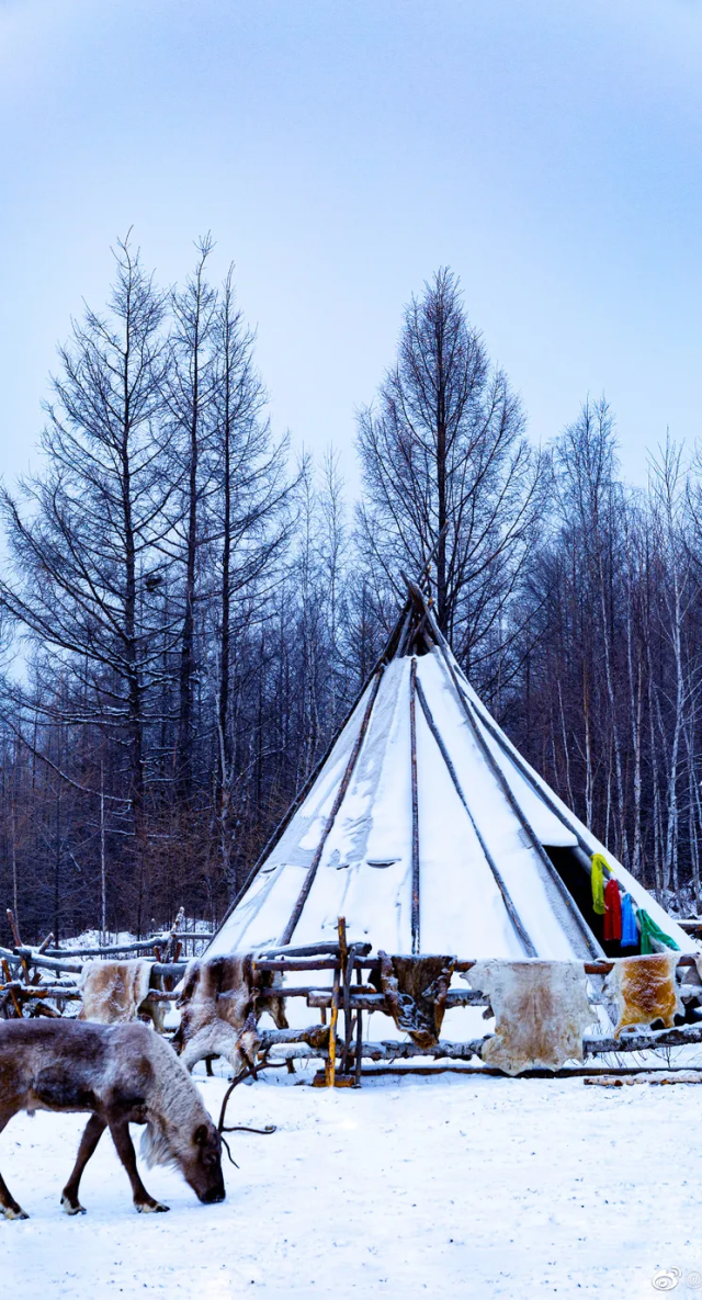 根河seo travel.nmgnews.com.cn